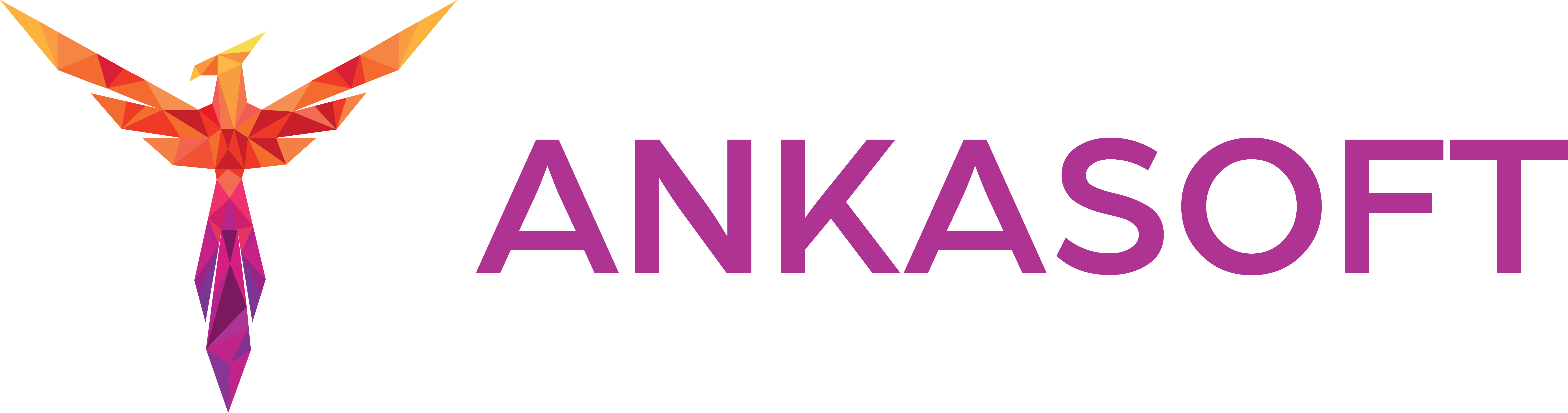 Ankasoft